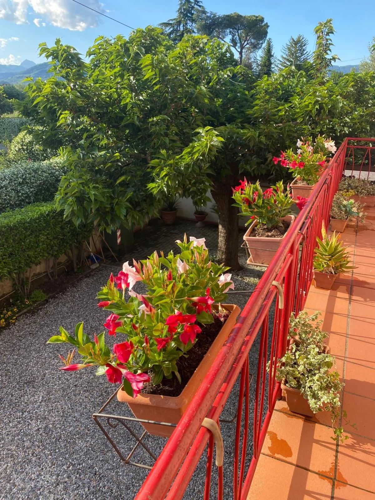 Casa Mary Villa Lucca Exterior photo